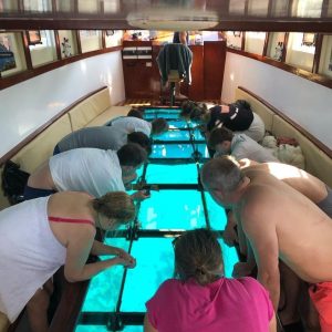 3 Hours Glass Bottom Trip By Boat 30jd